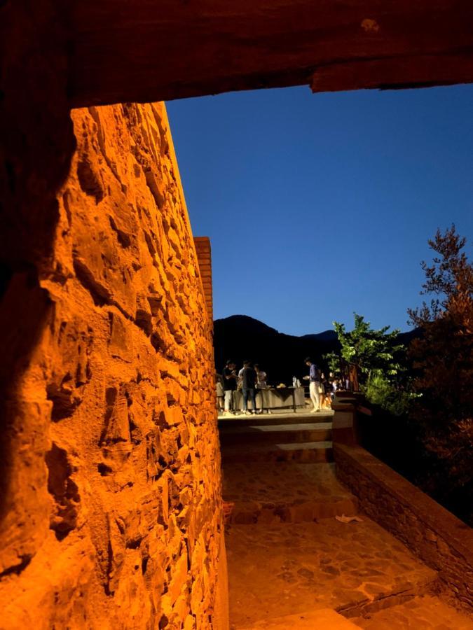 Cuccaro VetereDai Puddicchi - Cilento Houseアパートメント エクステリア 写真